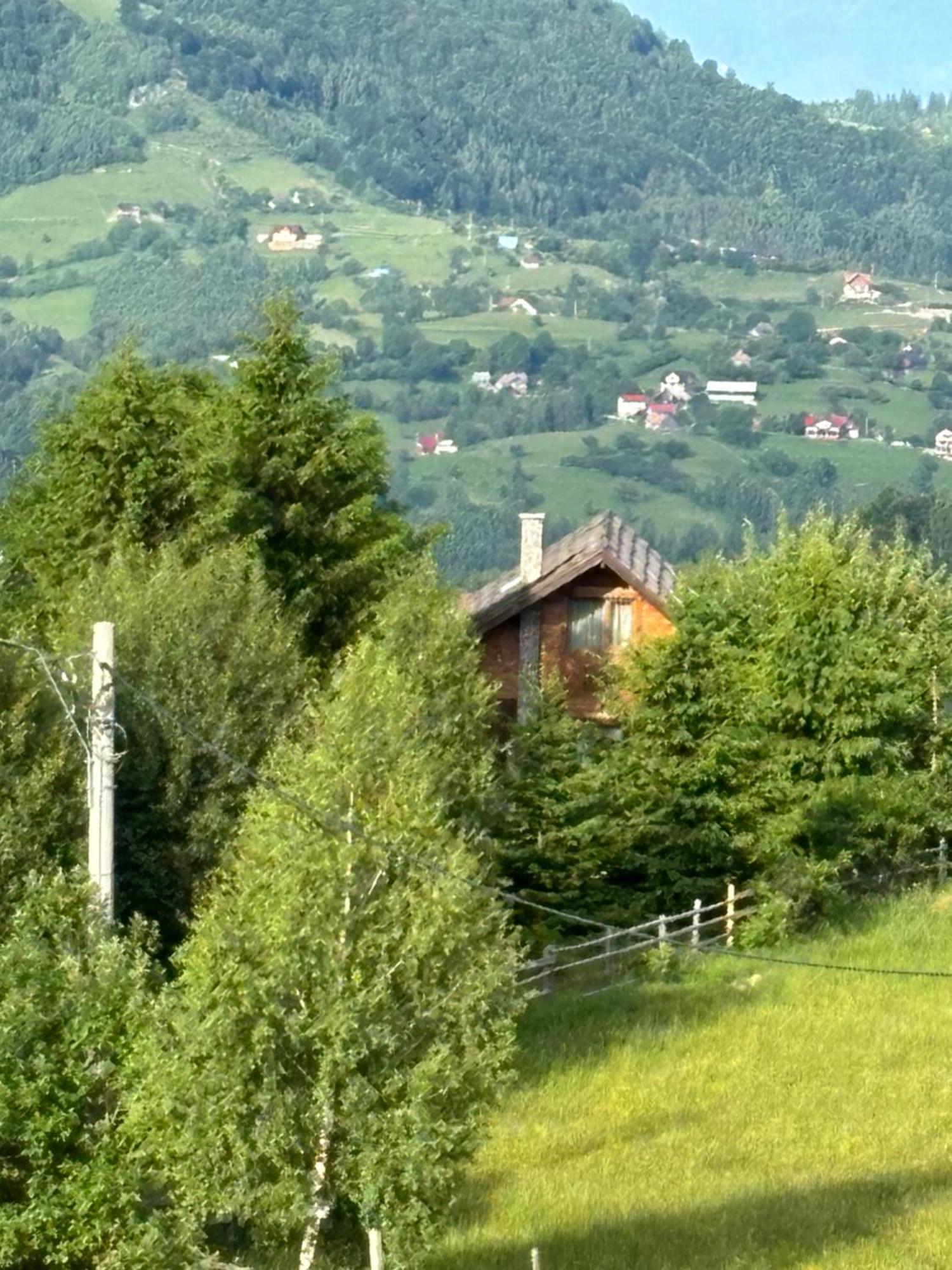 Chalet Ro Peştera Zewnętrze zdjęcie