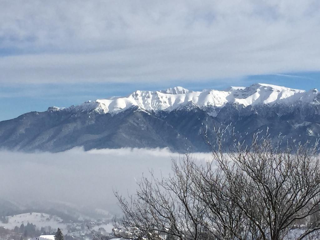 Chalet Ro Peştera Zewnętrze zdjęcie