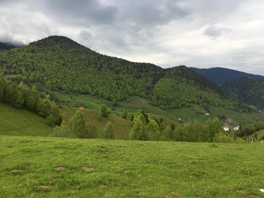Chalet Ro Peştera Zewnętrze zdjęcie